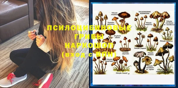 гашик Белоозёрский