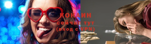 стаф Белокуриха